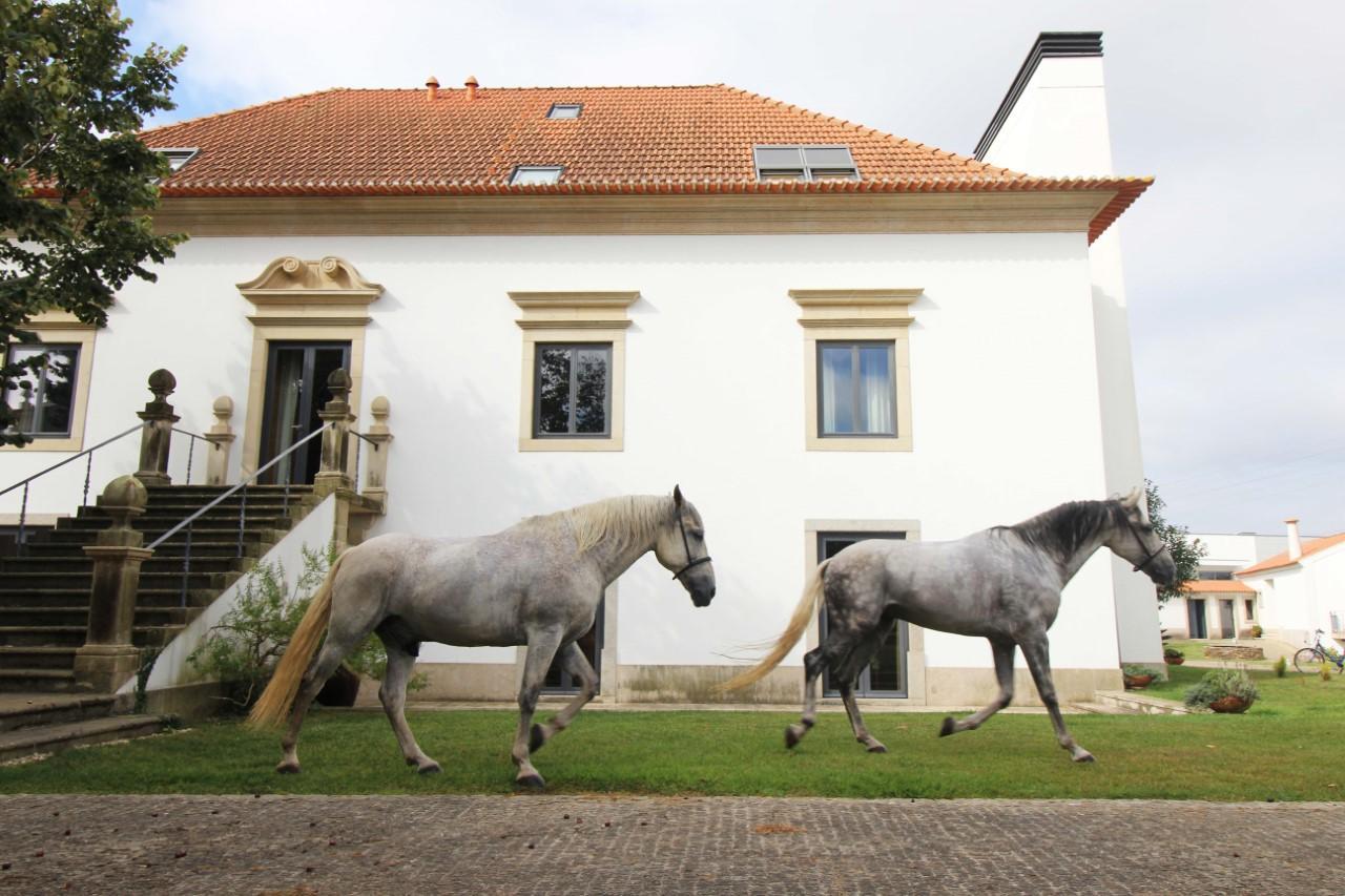 Quinta Da Aldeia De Avanca Exterior foto